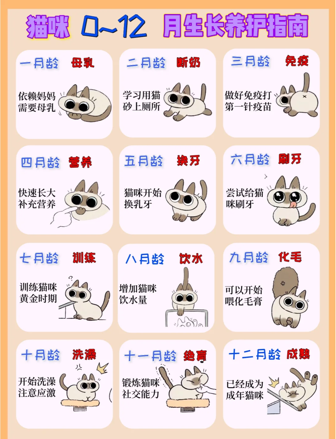 小猫养多久才认主人(小猫养多久才认主人?service=bdbox)