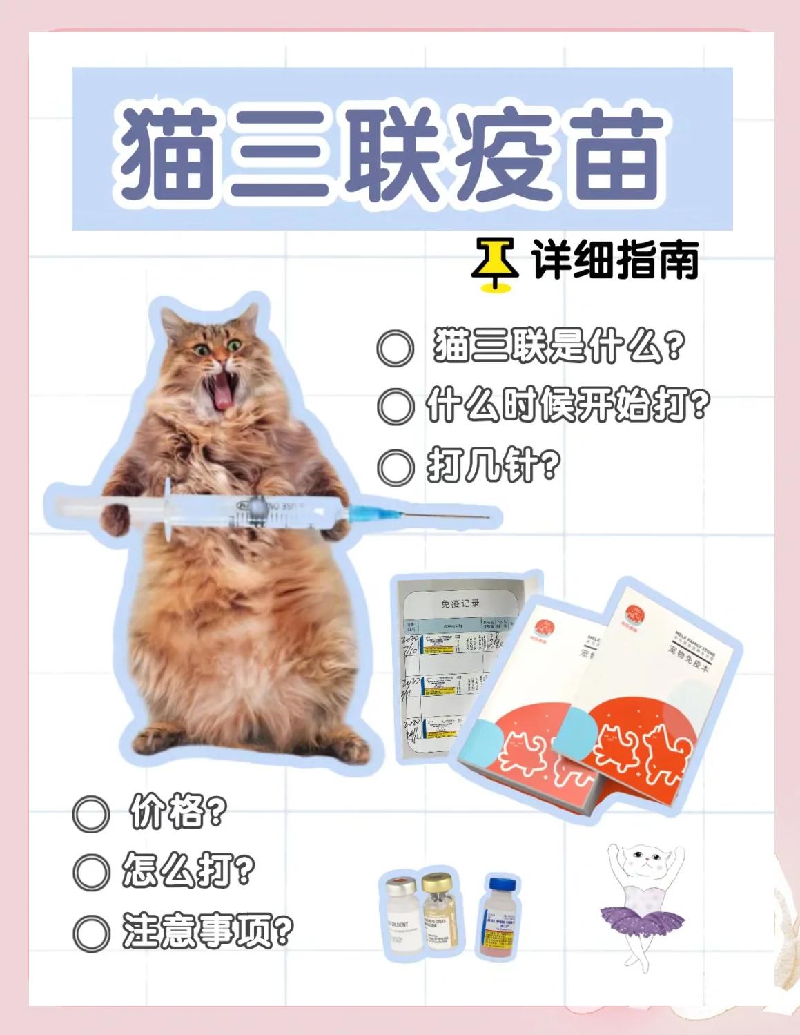 猫咪打疫苗前后要注意什么(猫咪打预防针之前应该注意啥)