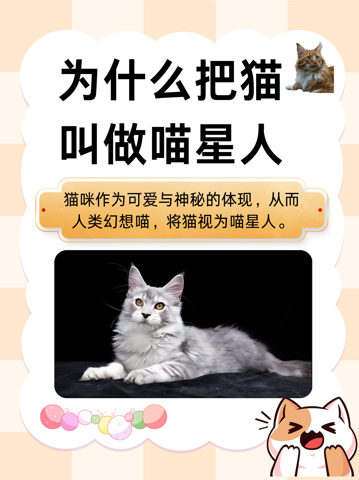 母猫叫声音大全(母猫叫声大全 mp3)