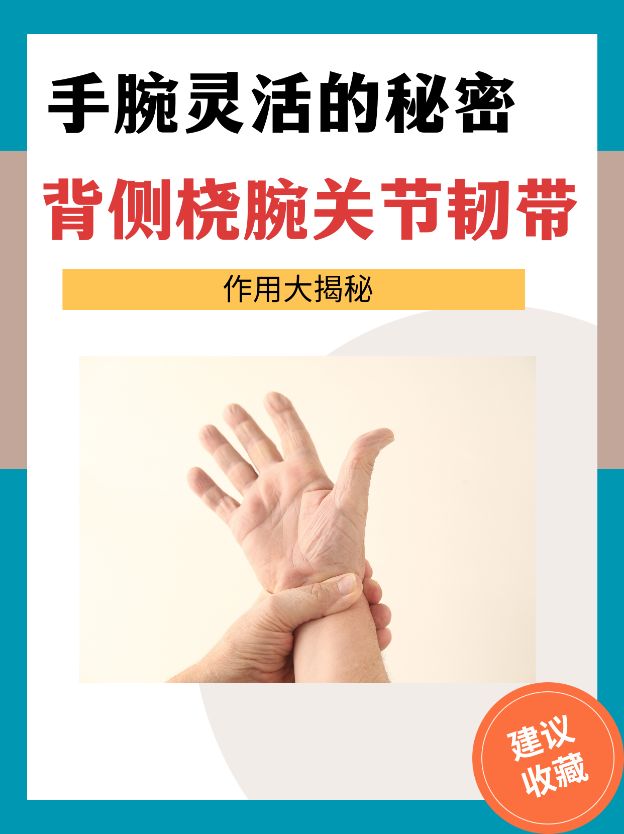桡的拼音(桡的意思是什么) 桡的拼音(桡的意思是什么)