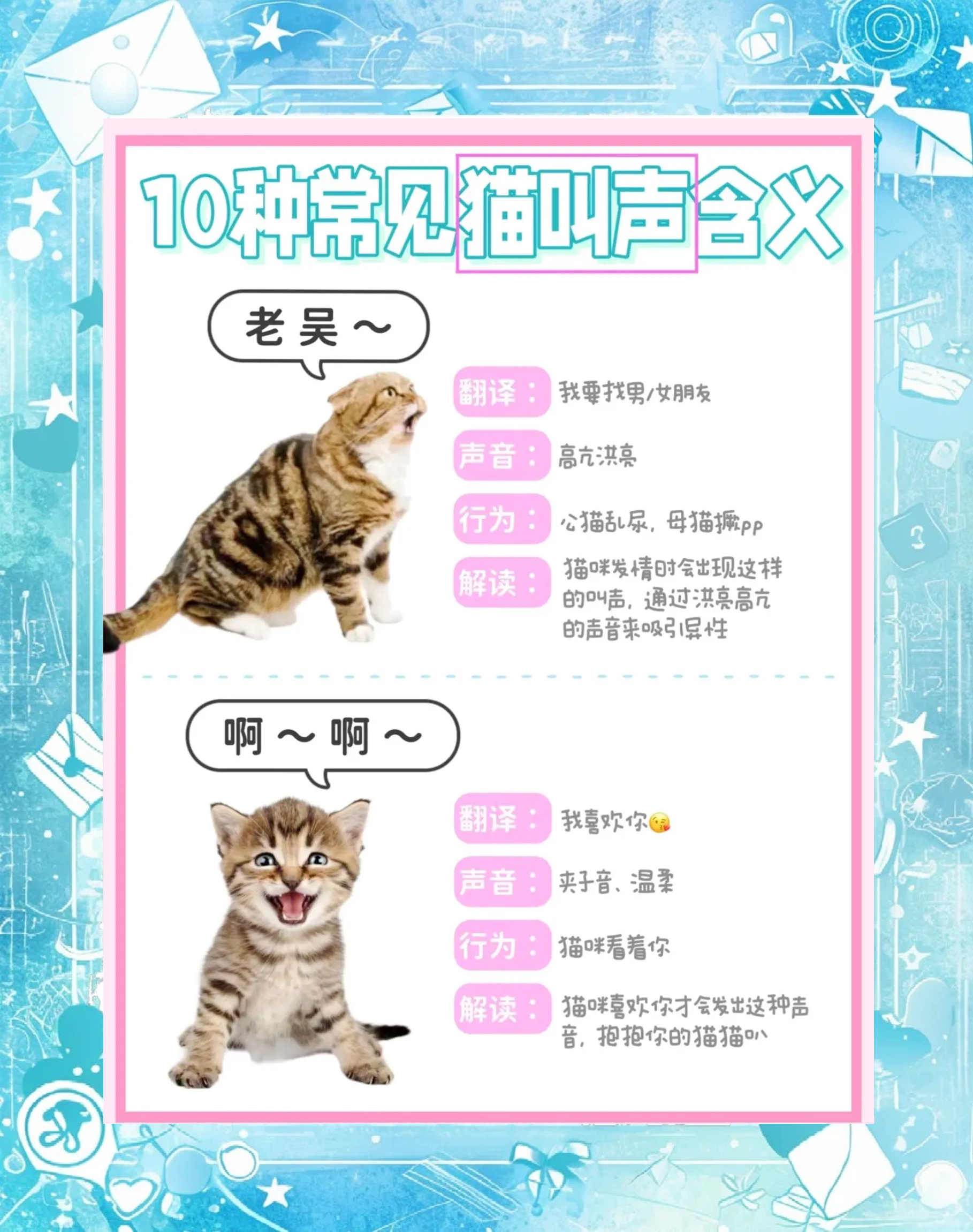 猫咪老叫唤什么原因(猫咪老叫唤什么原因引起的) 猫咪老叫唤什么原因(猫咪老叫唤什么原因引起的)