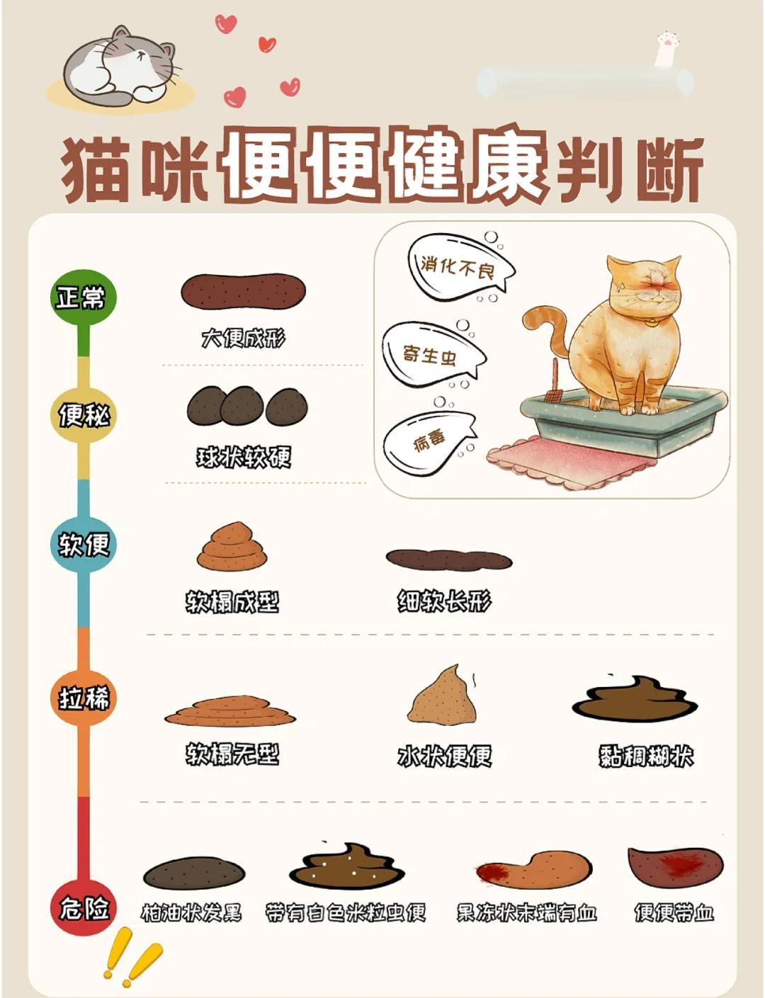 猫咪正常的便便图分级(猫咪的正常便便应该是什么样的) 猫咪正常的便便图分级(猫咪的正常便便应该是什么样的)