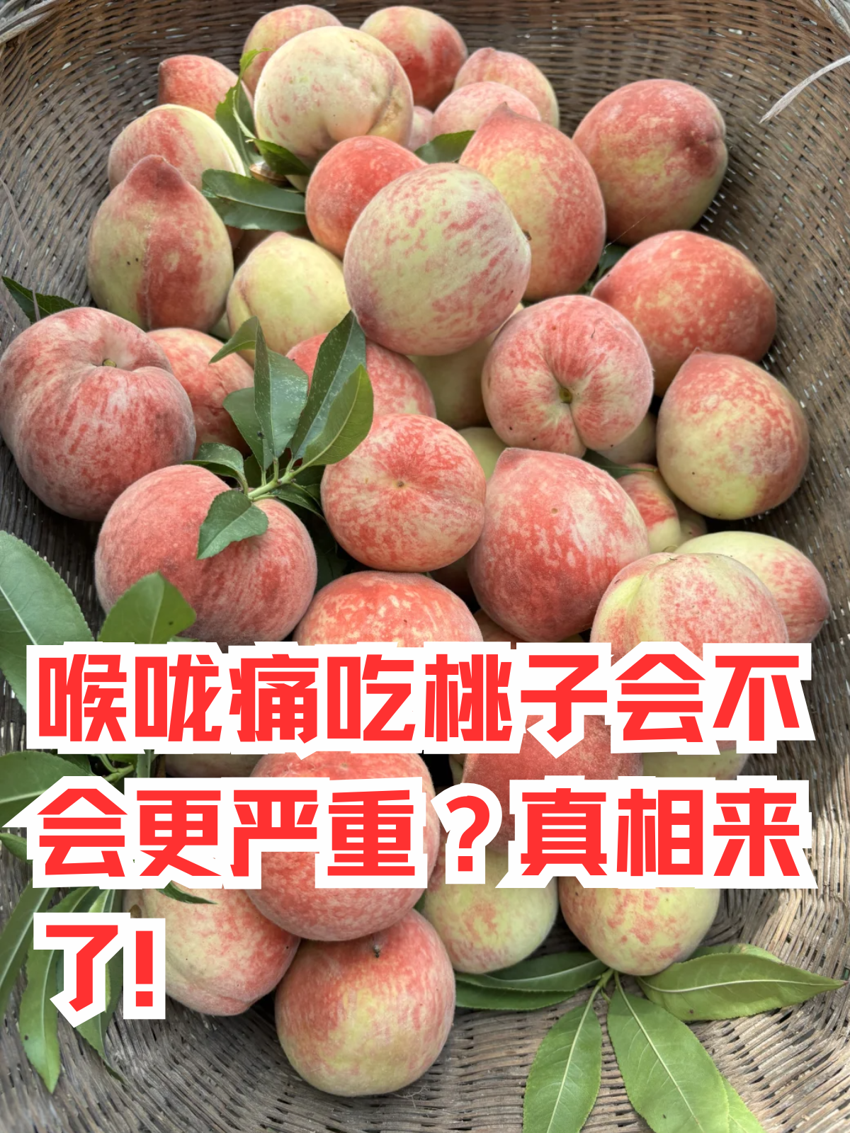 咳嗽可以吃桃子吗大人(咳嗽可以吃桃子吗大人吃多少) 咳嗽可以吃桃子吗大人(咳嗽可以吃桃子吗大人吃多少)