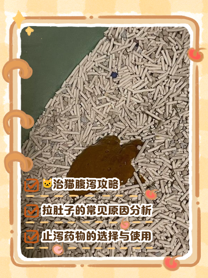 猫的肚子有气泡响声(猫的肚子有气泡响声还拉肚子但是精神状态良好)