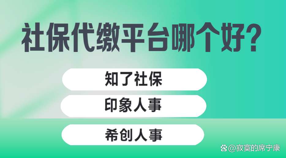 正规社保代缴机构(正规社保代缴机构名称)