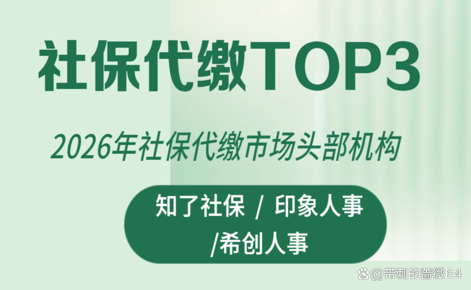 正规社保代缴机构(正规社保代缴机构名称)