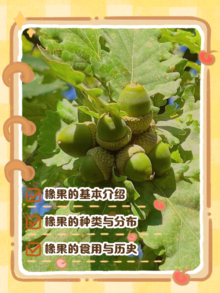 橡树代表什么象征意义(橡树代表什么象征意义呢)