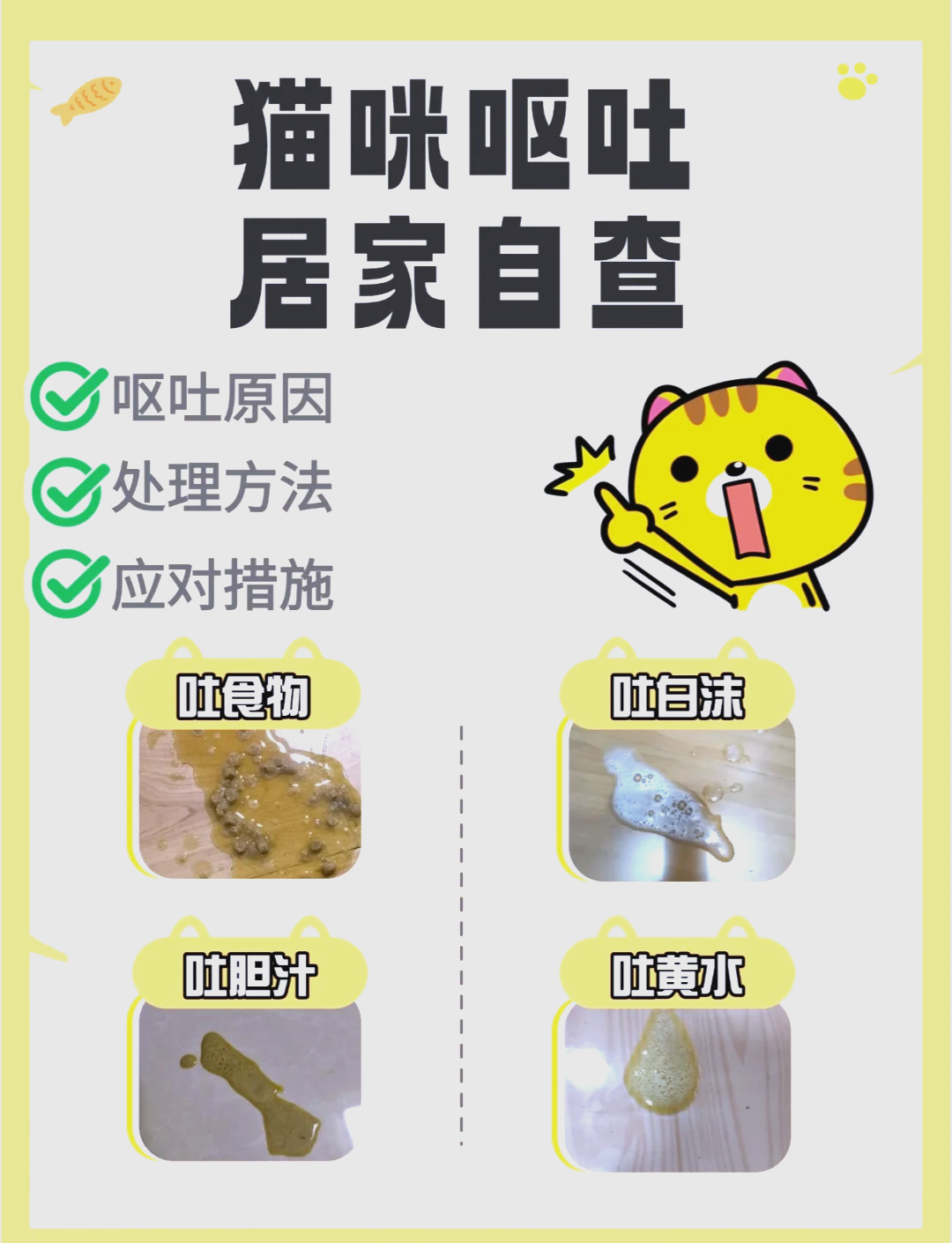 猫咪吐黄水有泡沫没有精神吃什么药的简单介绍 猫咪吐黄水有泡沫没有精神吃什么药的简单介绍