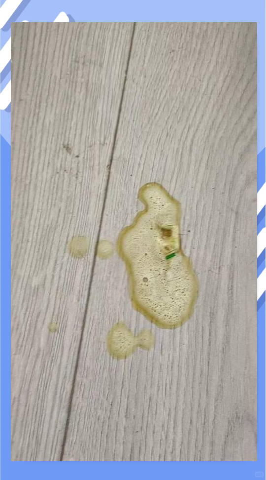 猫咪吐黄水有泡沫没有精神吃什么药的简单介绍 猫咪吐黄水有泡沫没有精神吃什么药的简单介绍