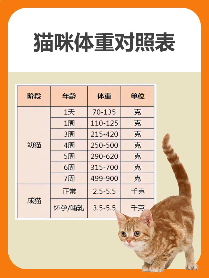猫的体温正常是多少度(猫的体温正常是多少度左右) 猫的体温正常是多少度(猫的体温正常是多少度左右)