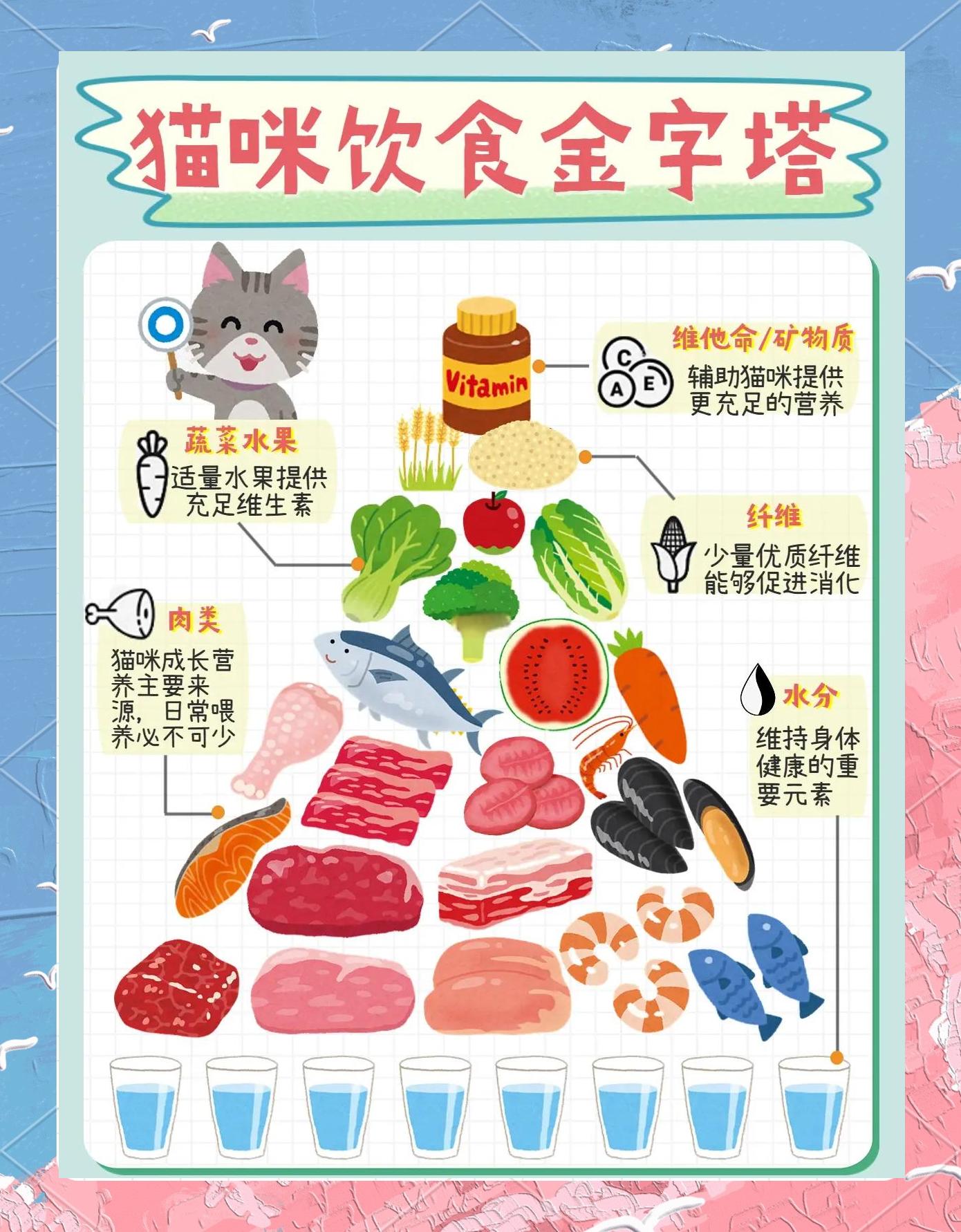 猫能吃西兰花吗(猫咪可以吃西兰花么)