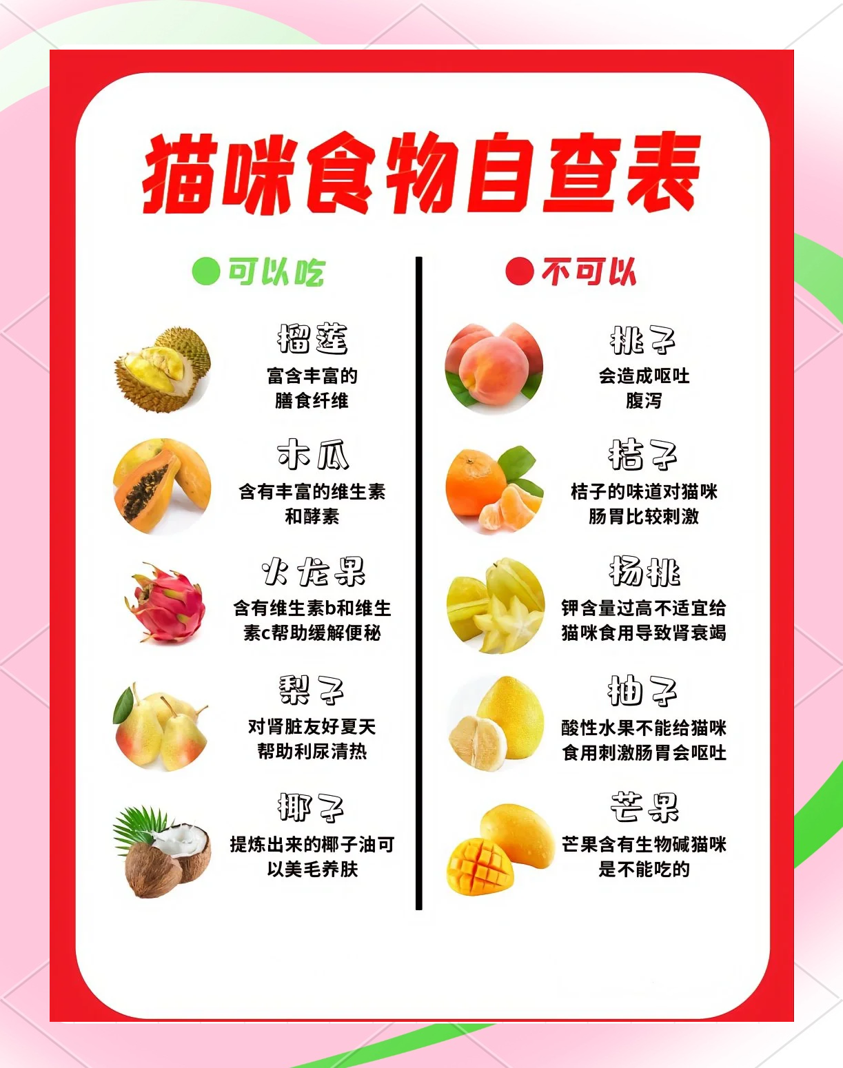 猫能吃盐么(猫可以吃盐么)
