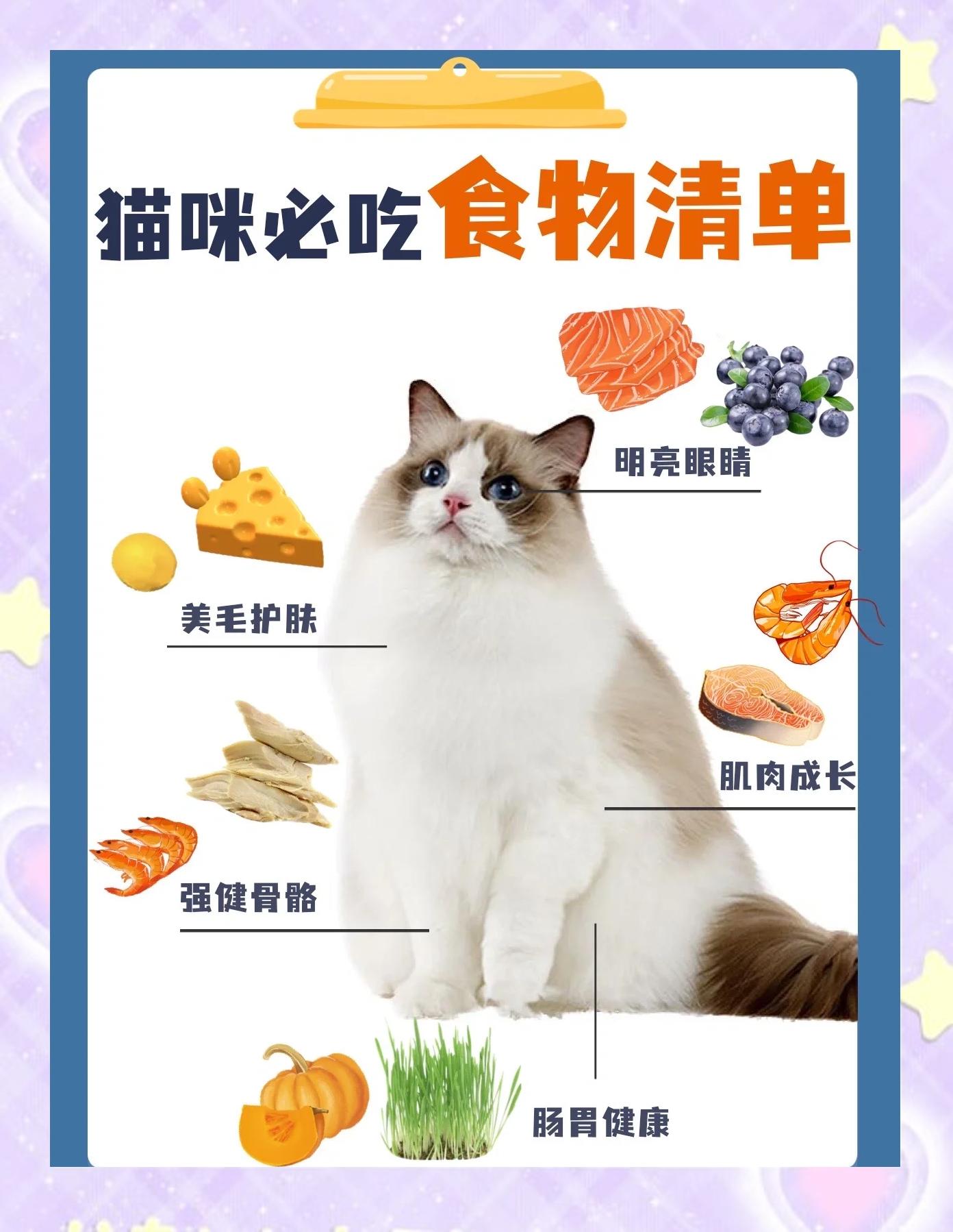 猫能吃盐么(猫可以吃盐么)