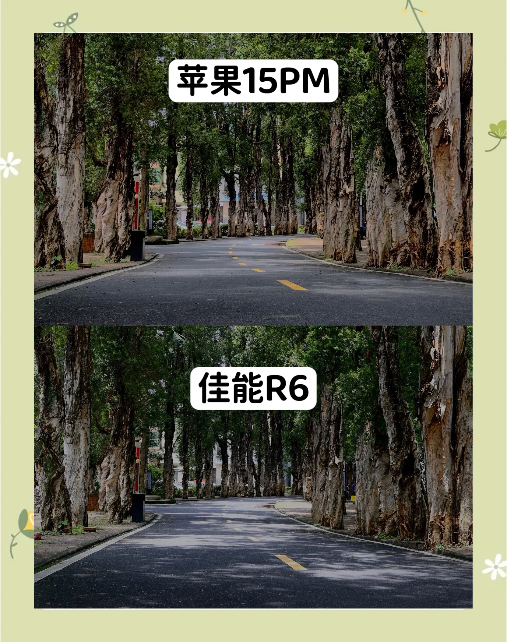 扫描和拍照的区别(手机扫描和拍照有什么区别) 扫描和拍照的区别(手机扫描和拍照有什么区别)