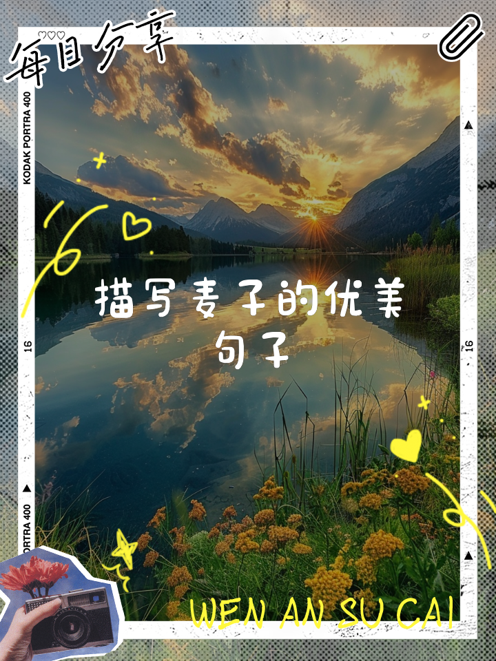 麦子熟了的心情说说(麦子熟了下一句是什么)