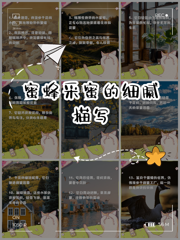 蜜蜂的窝歇后语是什么(蜜蜂的窝有什么特别之处) 蜜蜂的窝歇后语是什么(蜜蜂的窝有什么特别之处)