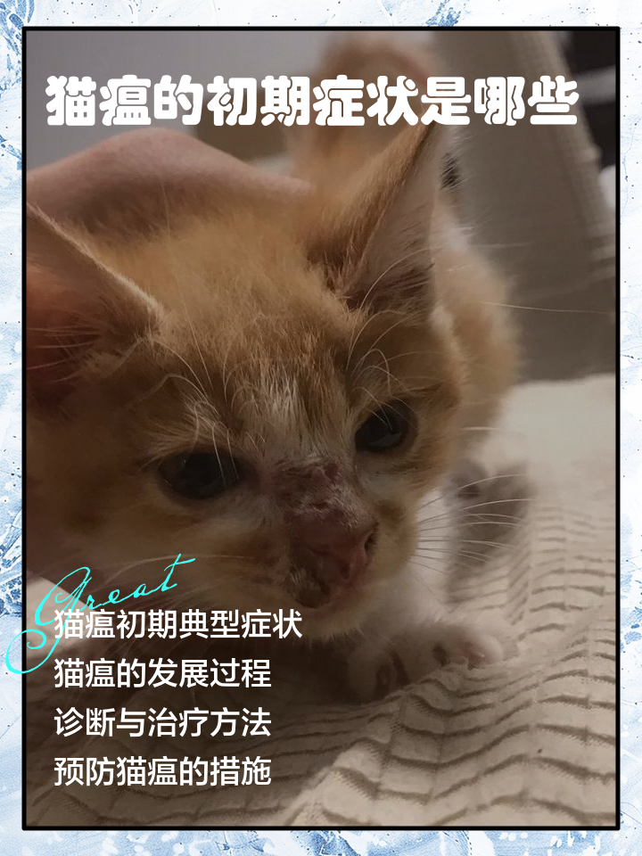 猫瘟会传染吗(猫瘟的症状是什么样的) 猫瘟会传染吗(猫瘟的症状是什么样的)