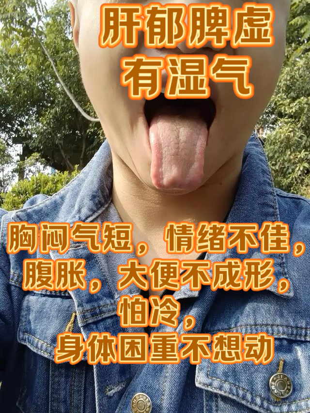 洞见肺腑(洞见肺腑和洞若观火)