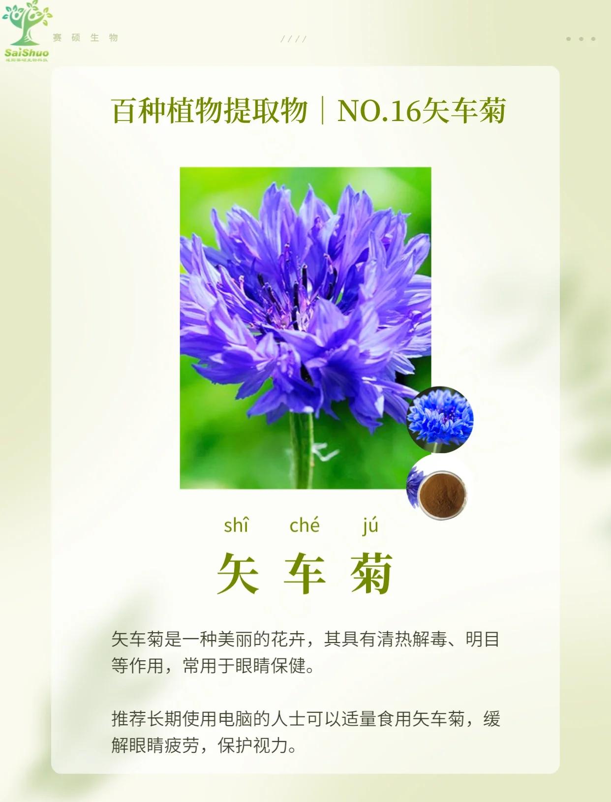植株的拼音(植株的拼音怎么读)