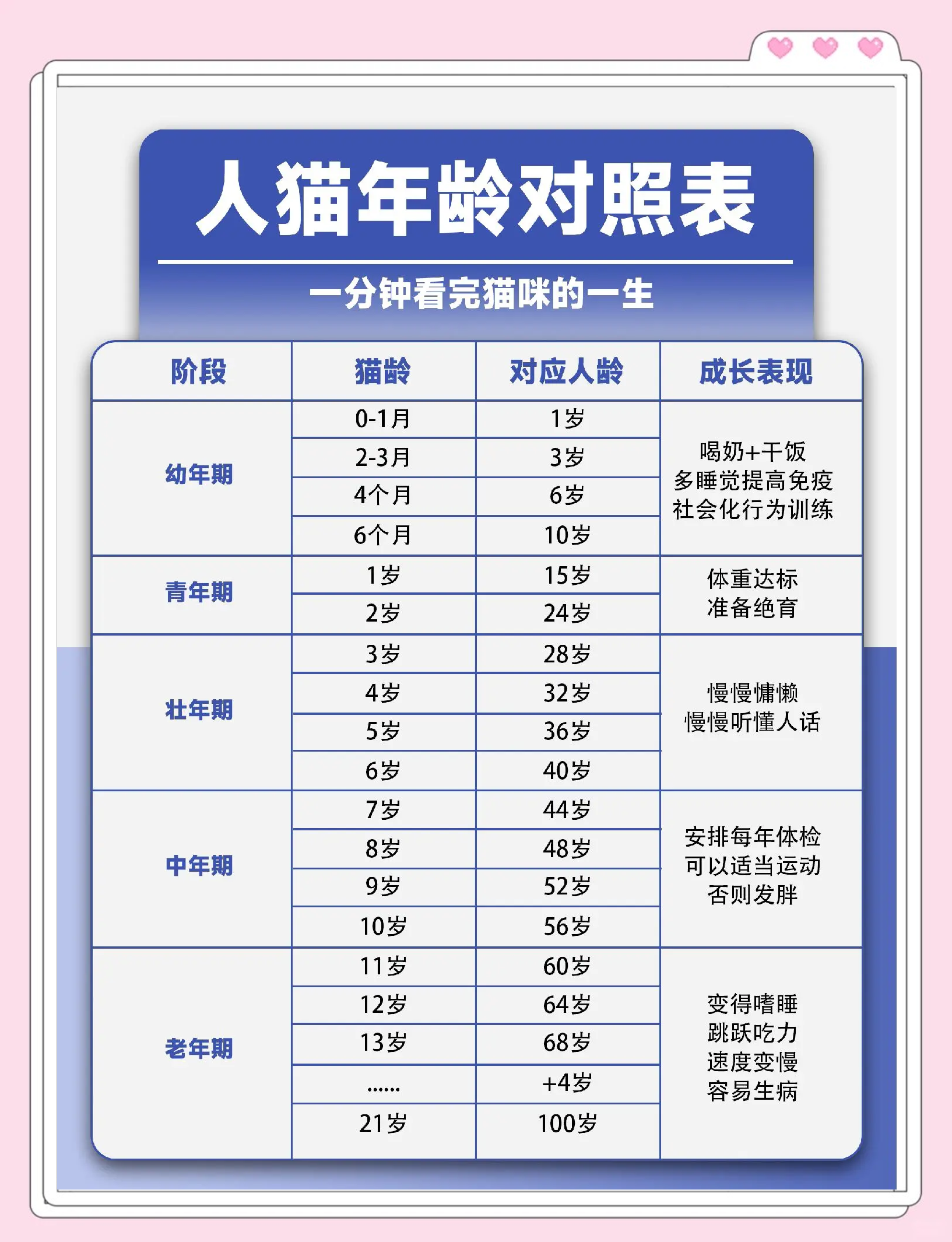 猫咪一年相当于几岁(猫咪1年相当于人类几岁) 猫咪一年相当于几岁(猫咪1年相当于人类几岁)