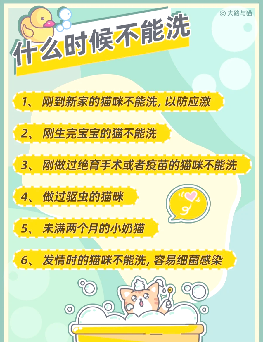 小猫咪多大可以洗澡(小猫咪多大可以洗澡驱虫)