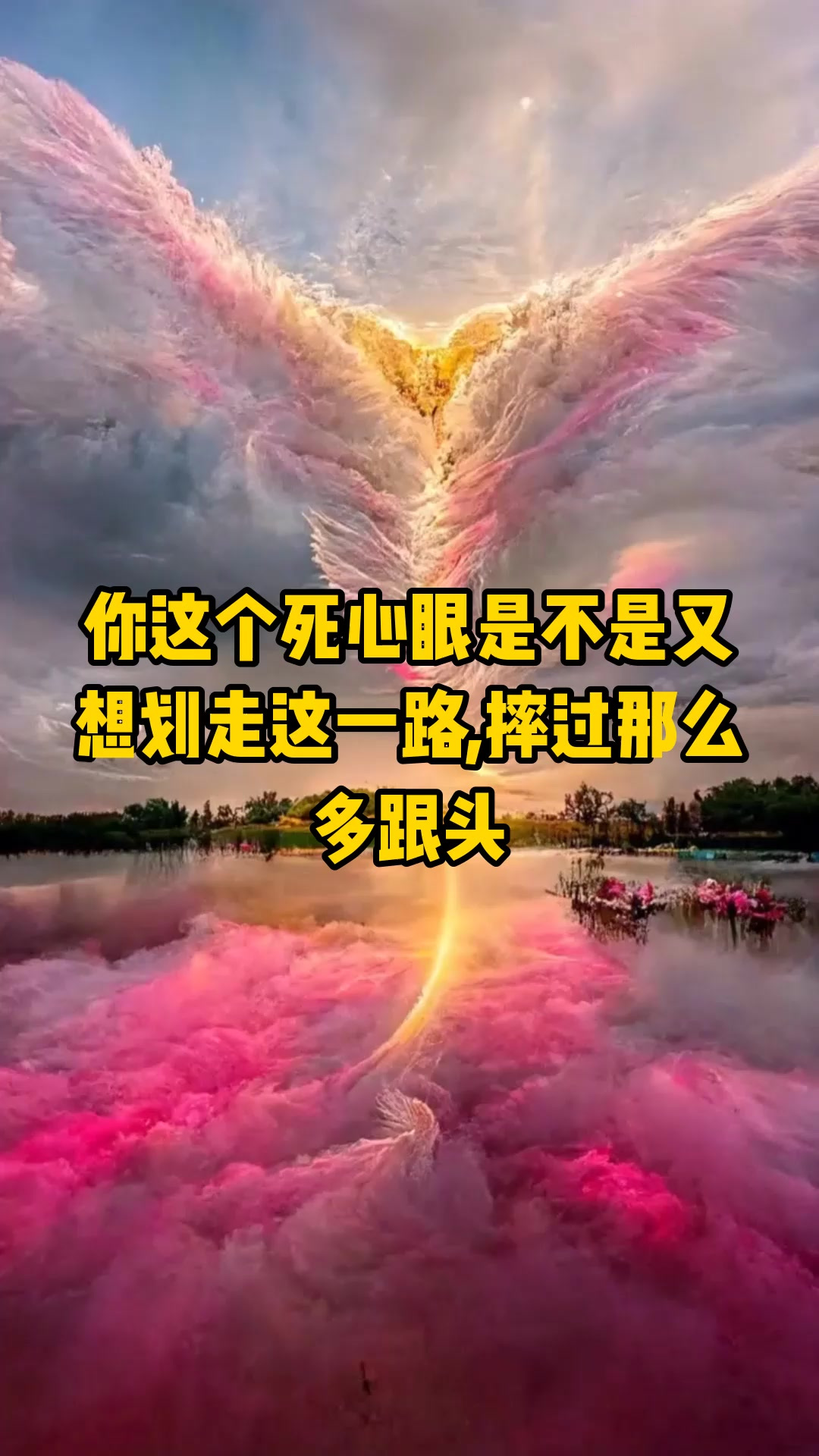 死心眼(死心眼拉不开脸面)