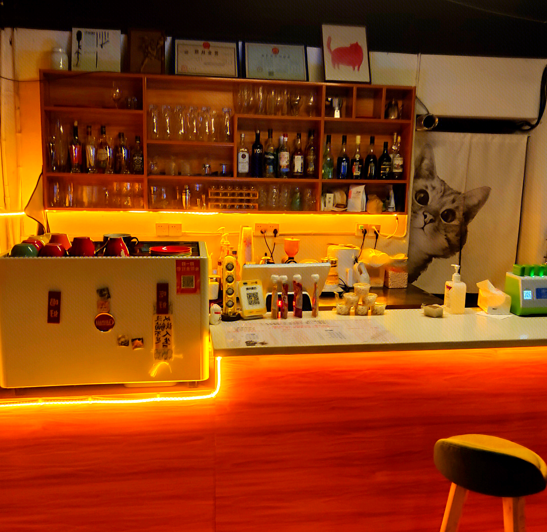 猫咖店是做什么的(新手小白怎么开宠物店)
