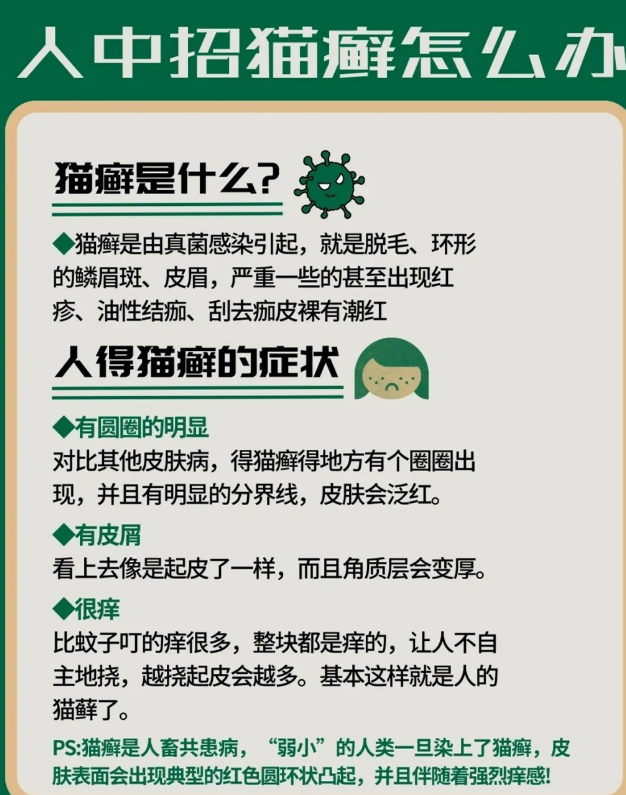 人得猫癣一般多久会好(人得猫癣一般多久会好好了之后会留疤吗)