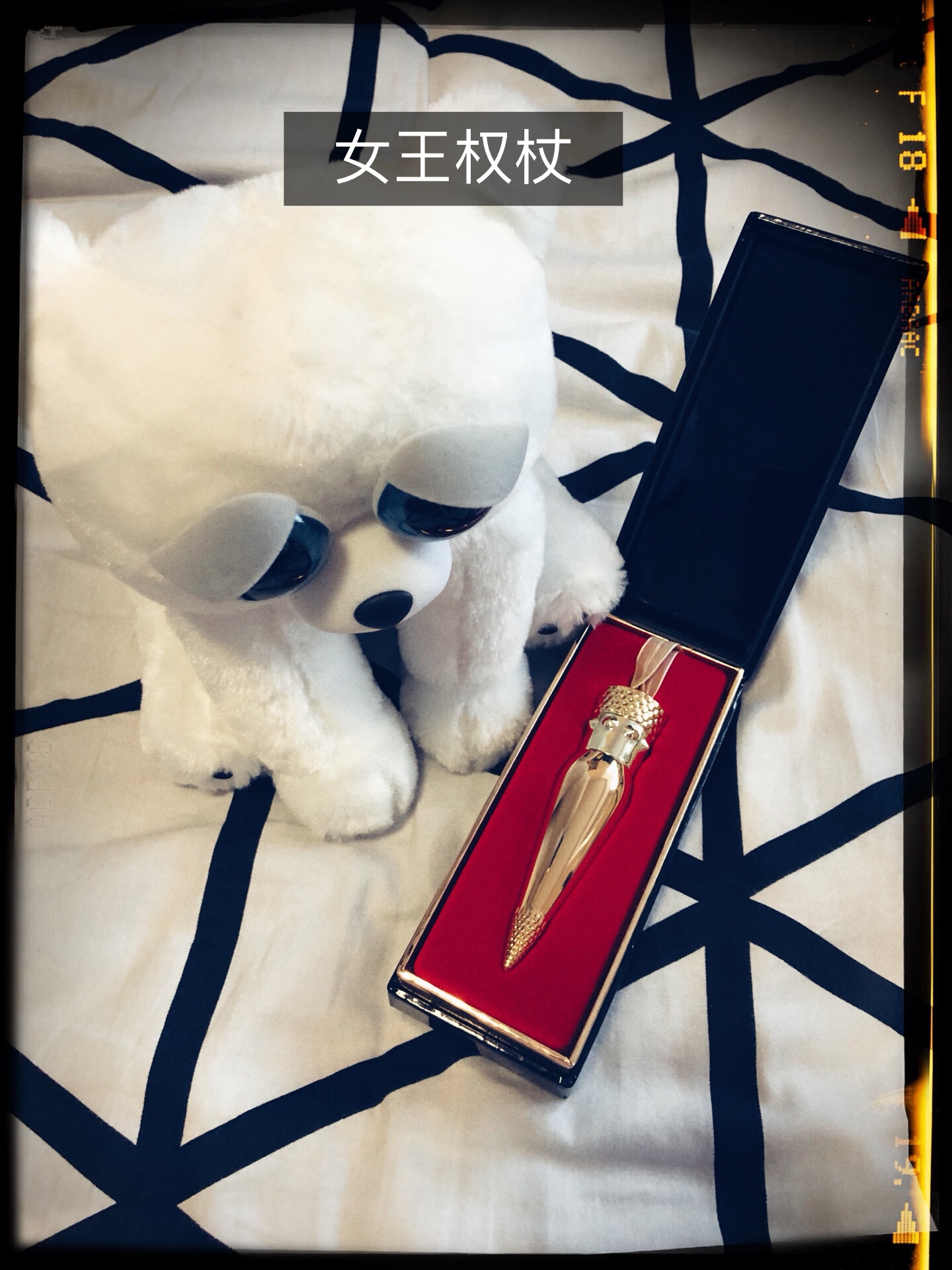 假正经(假正经假装正经)