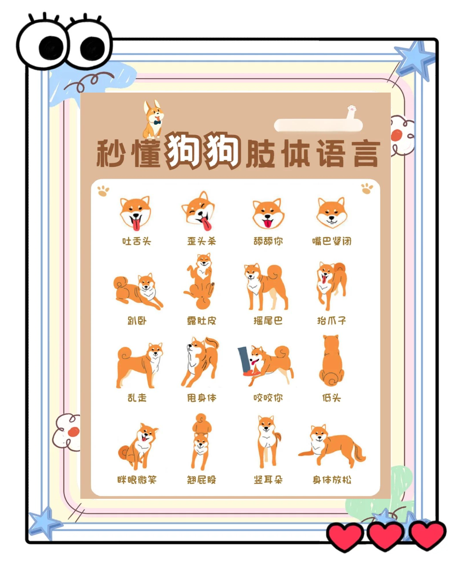 哈巴狗造句(用哈巴狗这个词语造句) 哈巴狗造句(用哈巴狗这个词语造句)