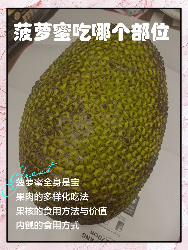 菠萝蜜和菠萝的区别(菠萝蜜和菠萝有什么关系)
