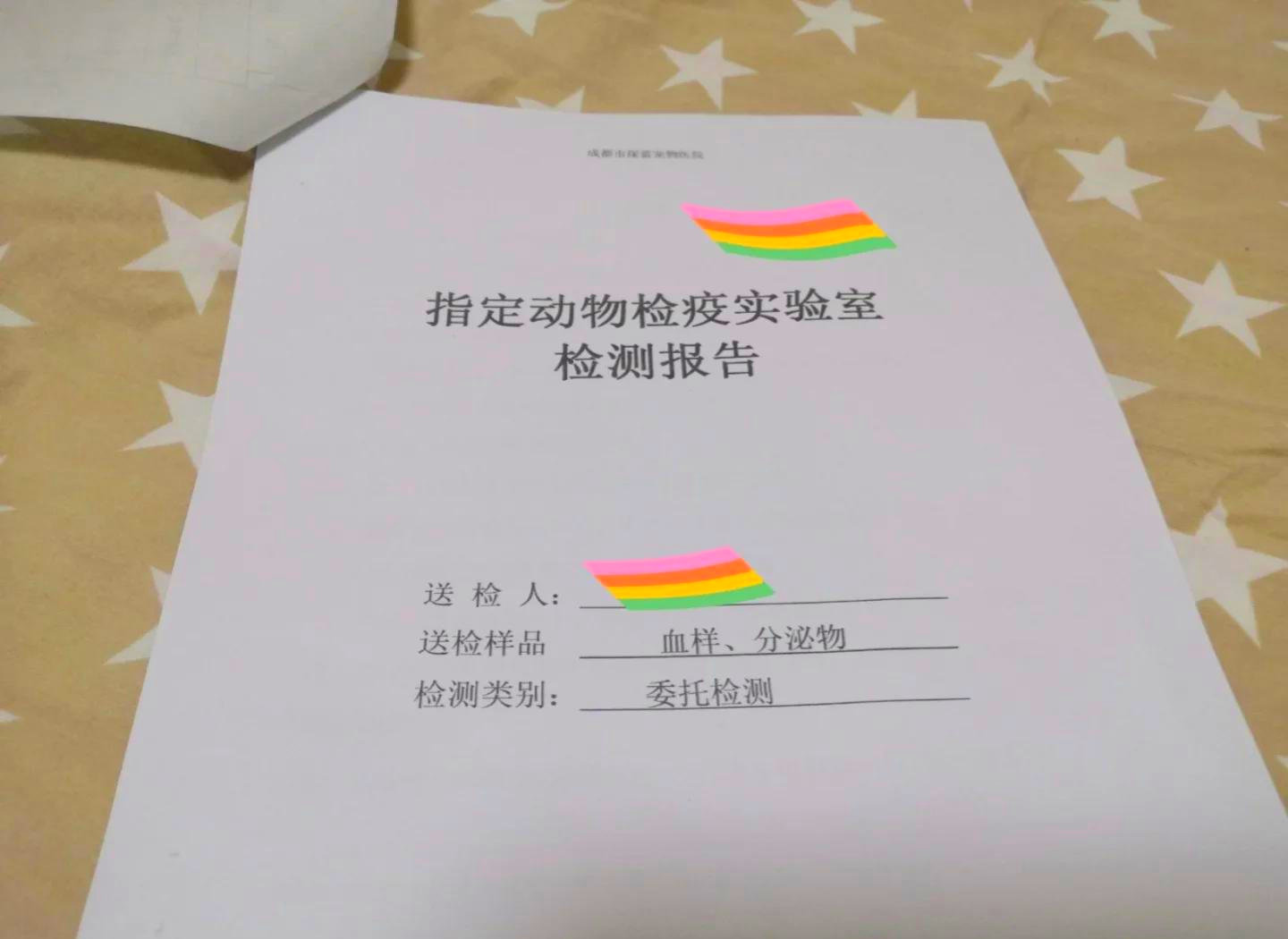 怎么跨省把猫咪带回家(怎么跨省把猫咪带回家跨省寄宠物)