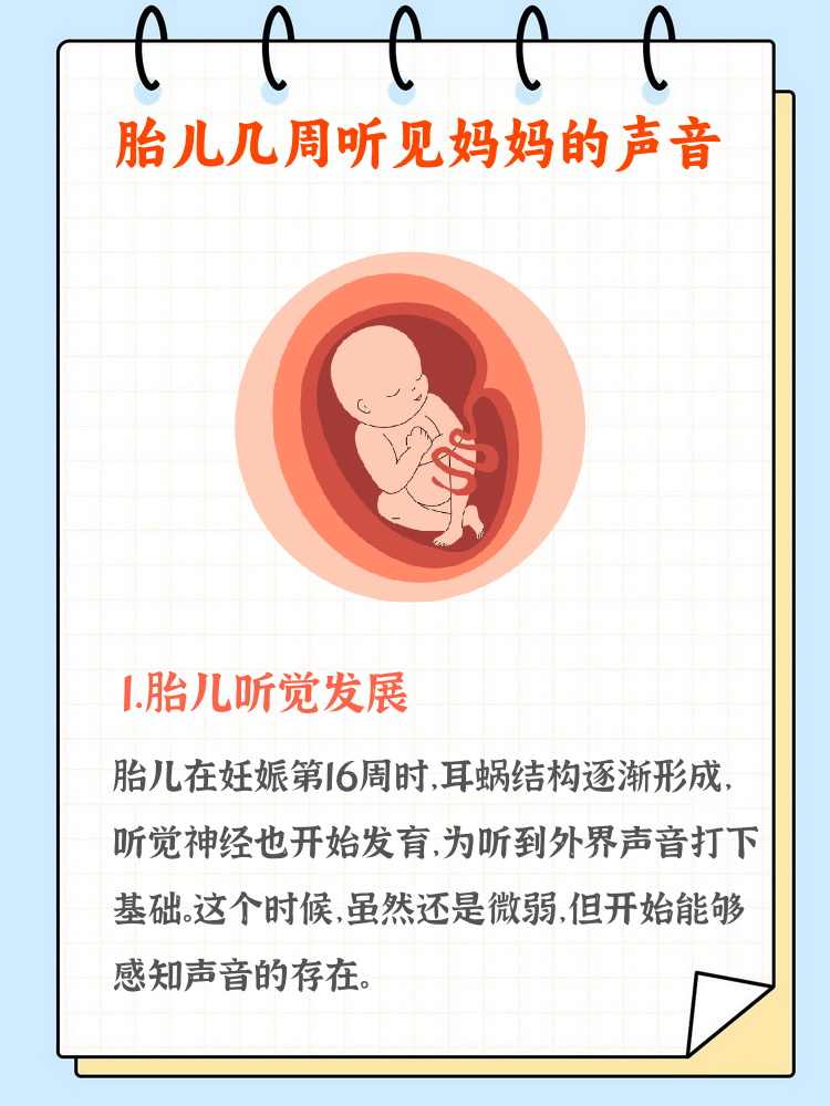 孕育拼音(孕拼音怎么读)