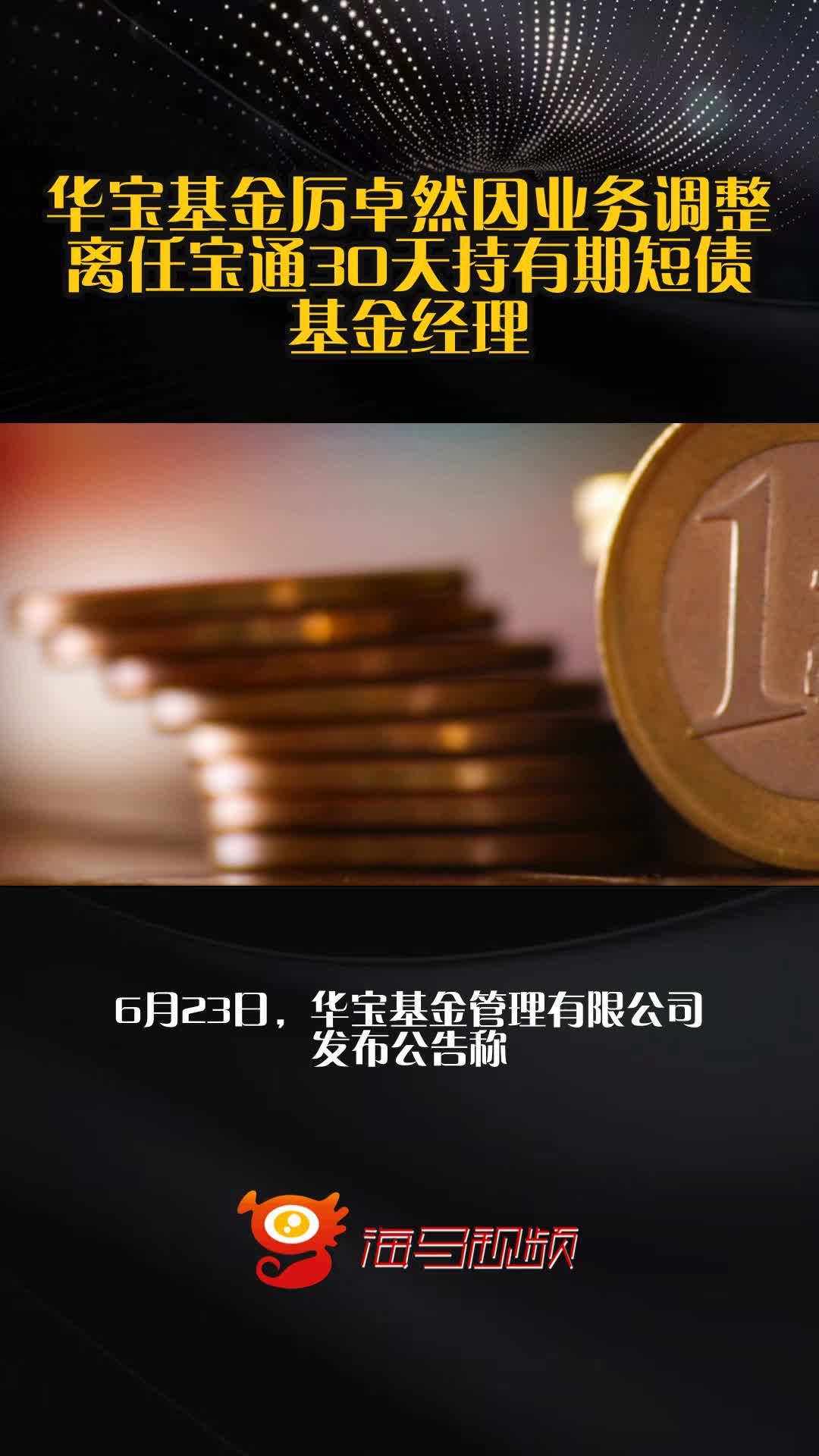 短债基金风险大吗(短债基金最建议买哪个)