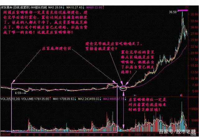 斩仓(斩仓出局) 斩仓(斩仓出局)