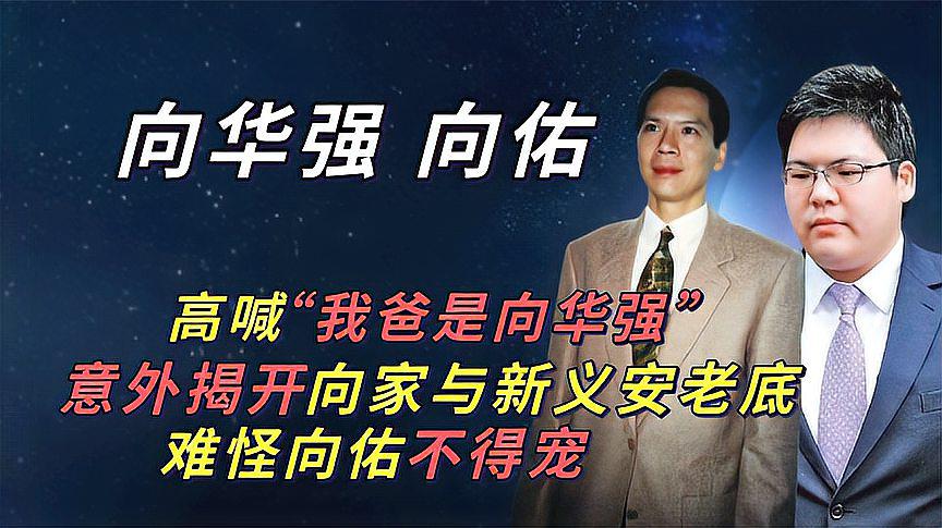 向佑个人资料简介(向佐向佑个人资料简介)