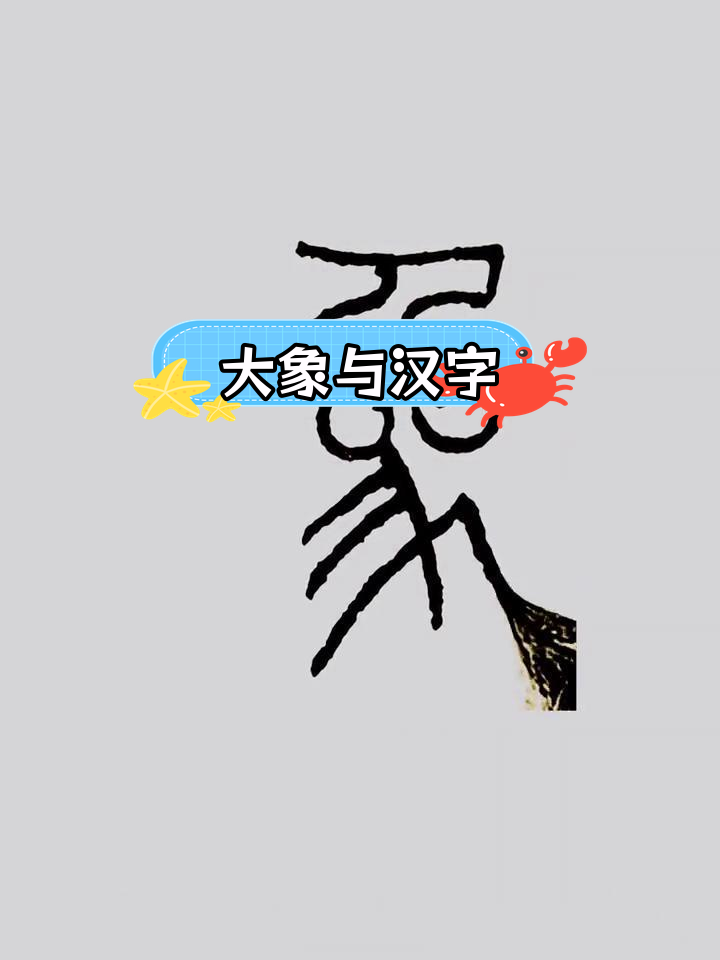 带象的四字成语(带象的四字成语有哪些) 带象的四字成语(带象的四字成语有哪些)