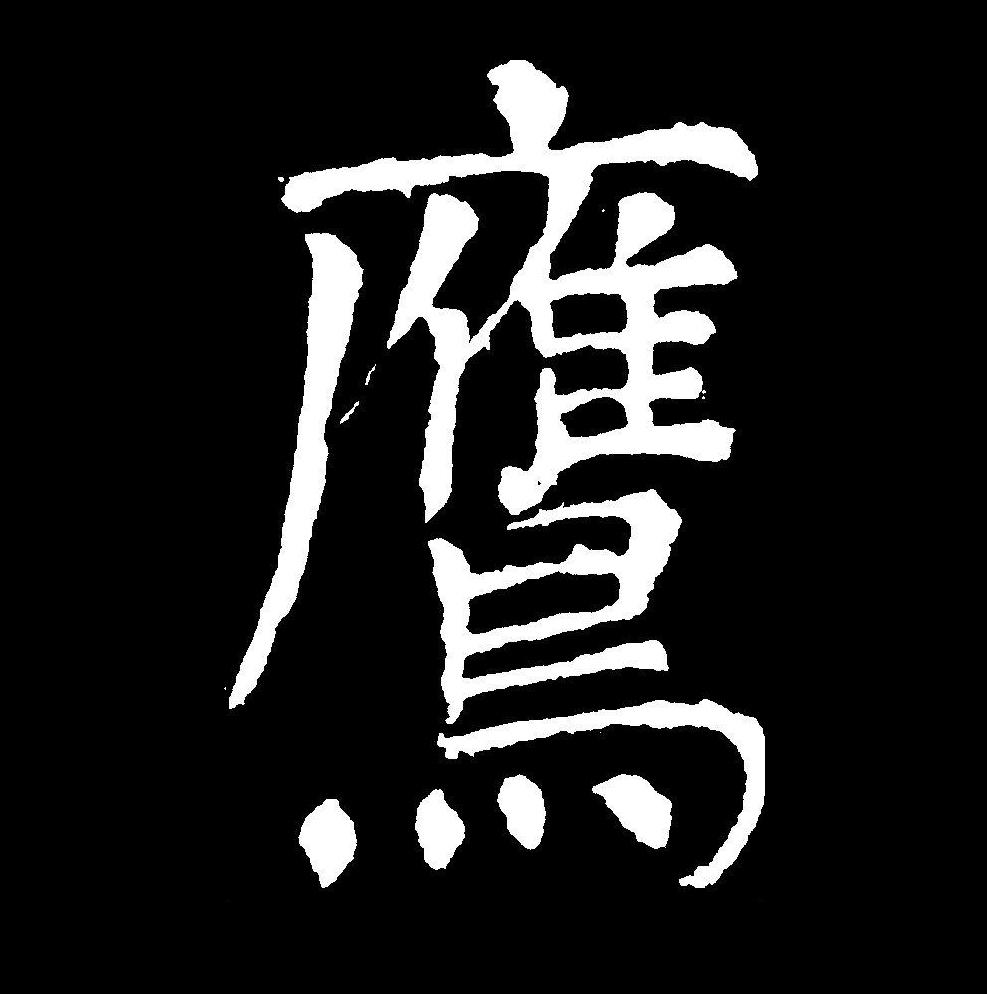 鹰组词(形容雄鹰的词语)
