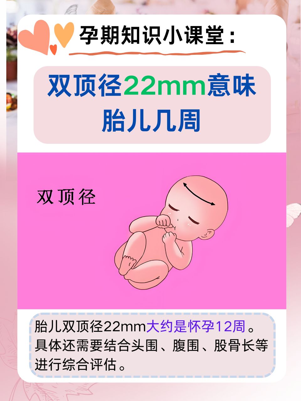 孕育的拼音(孕育的拼音怎么写)