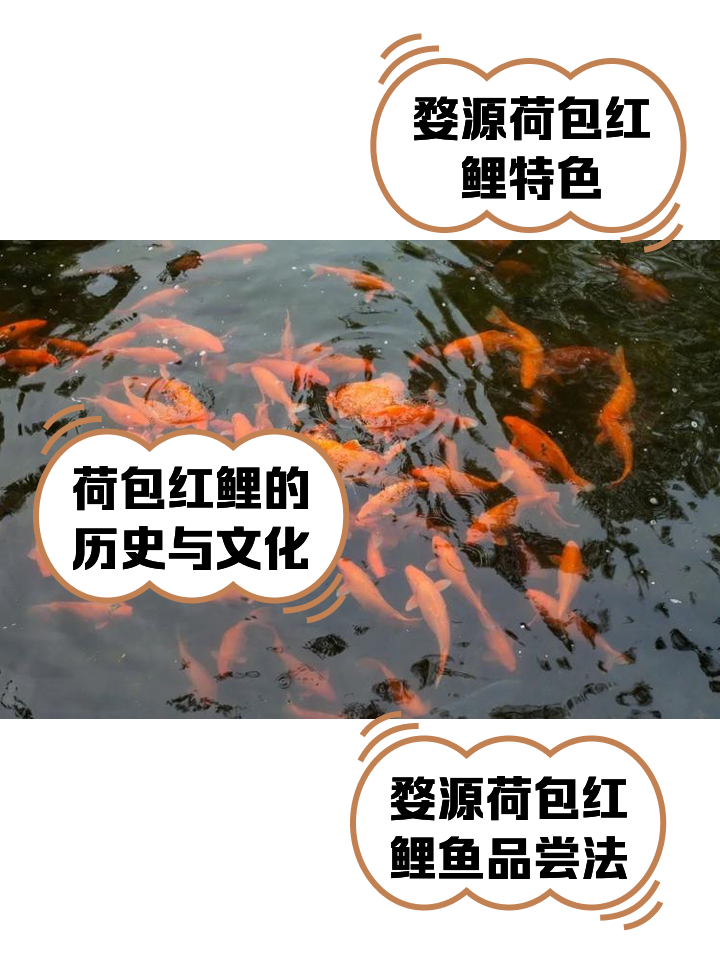 鲤组词(鲤组词2个字)