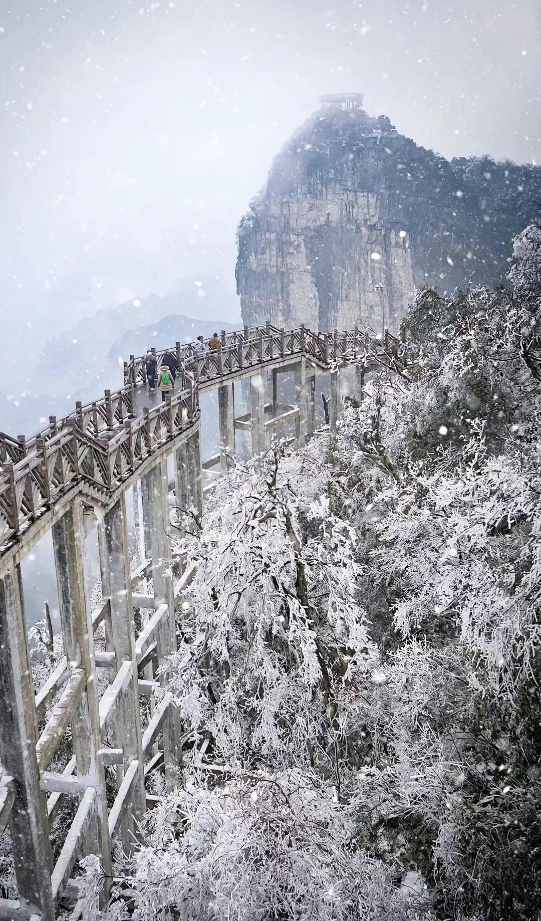 北苍仙路(北苍灵院院长是谁)