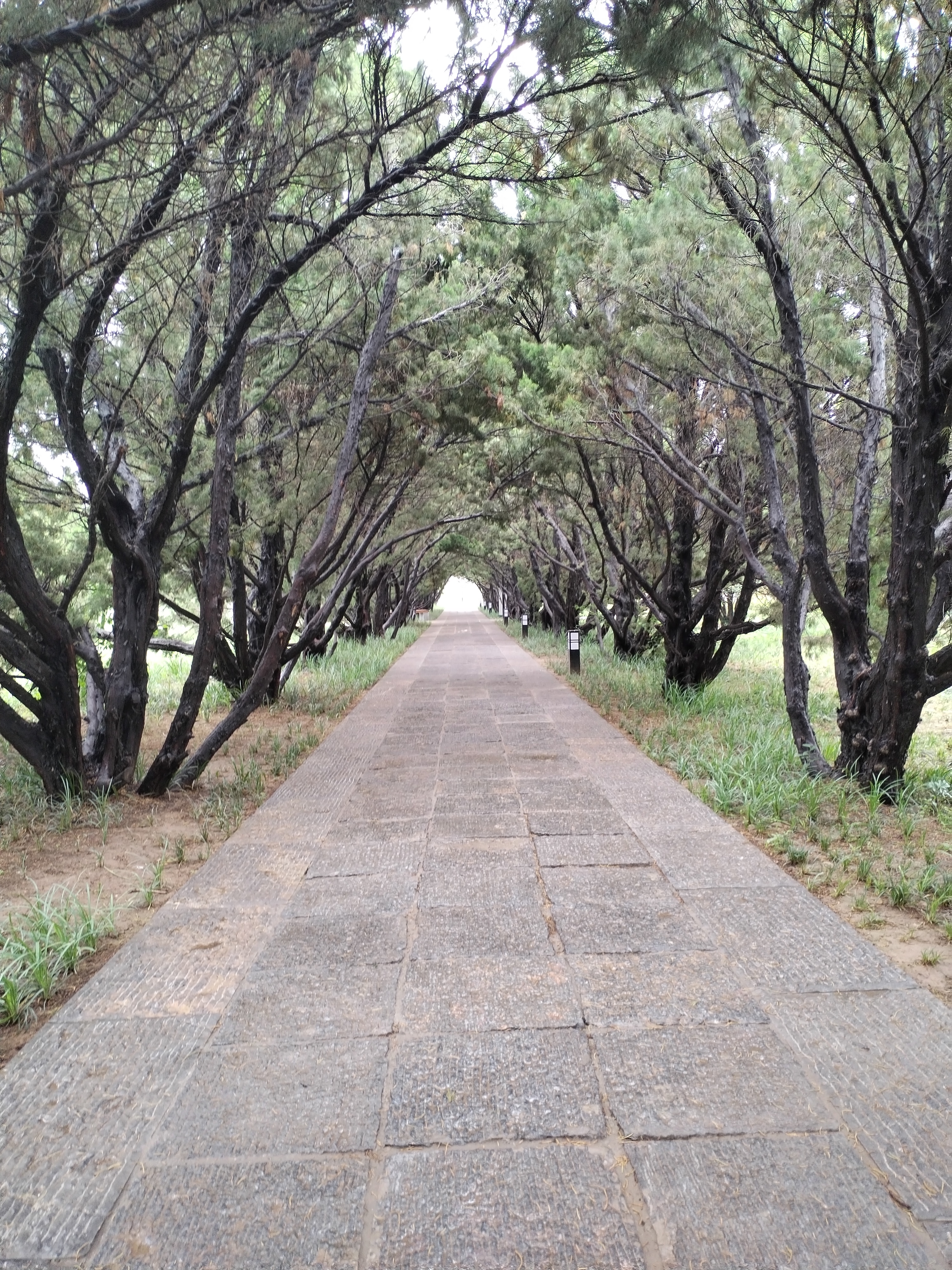 北苍仙路(北苍灵院院长是谁)