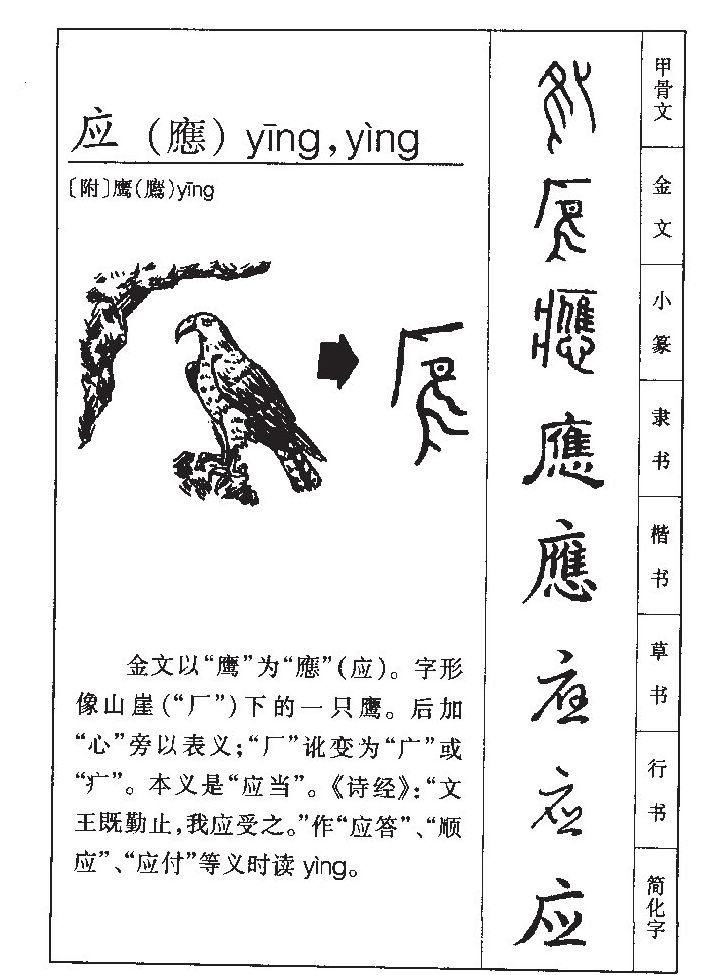 应字开头的成语(应字开头的成语故事)