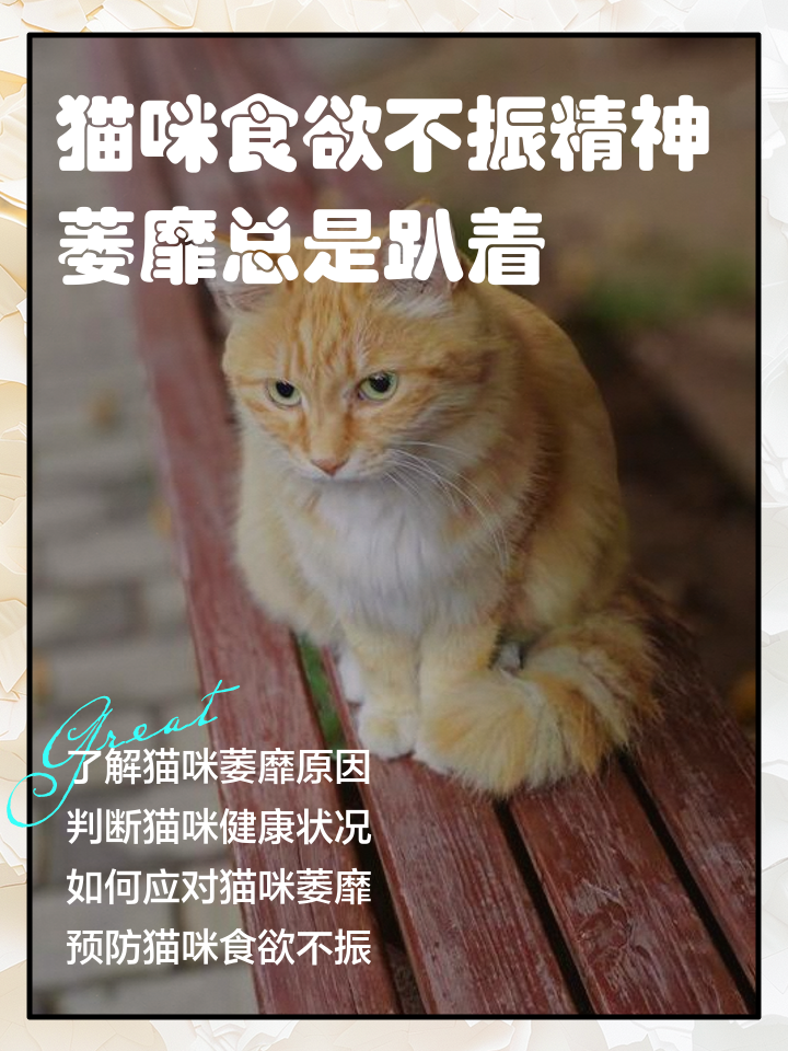 猫咪突然蔫了不吃不喝(猫咪突然蔫了不吃不喝吃什么药) 猫咪突然蔫了不吃不喝(猫咪突然蔫了不吃不喝吃什么药)