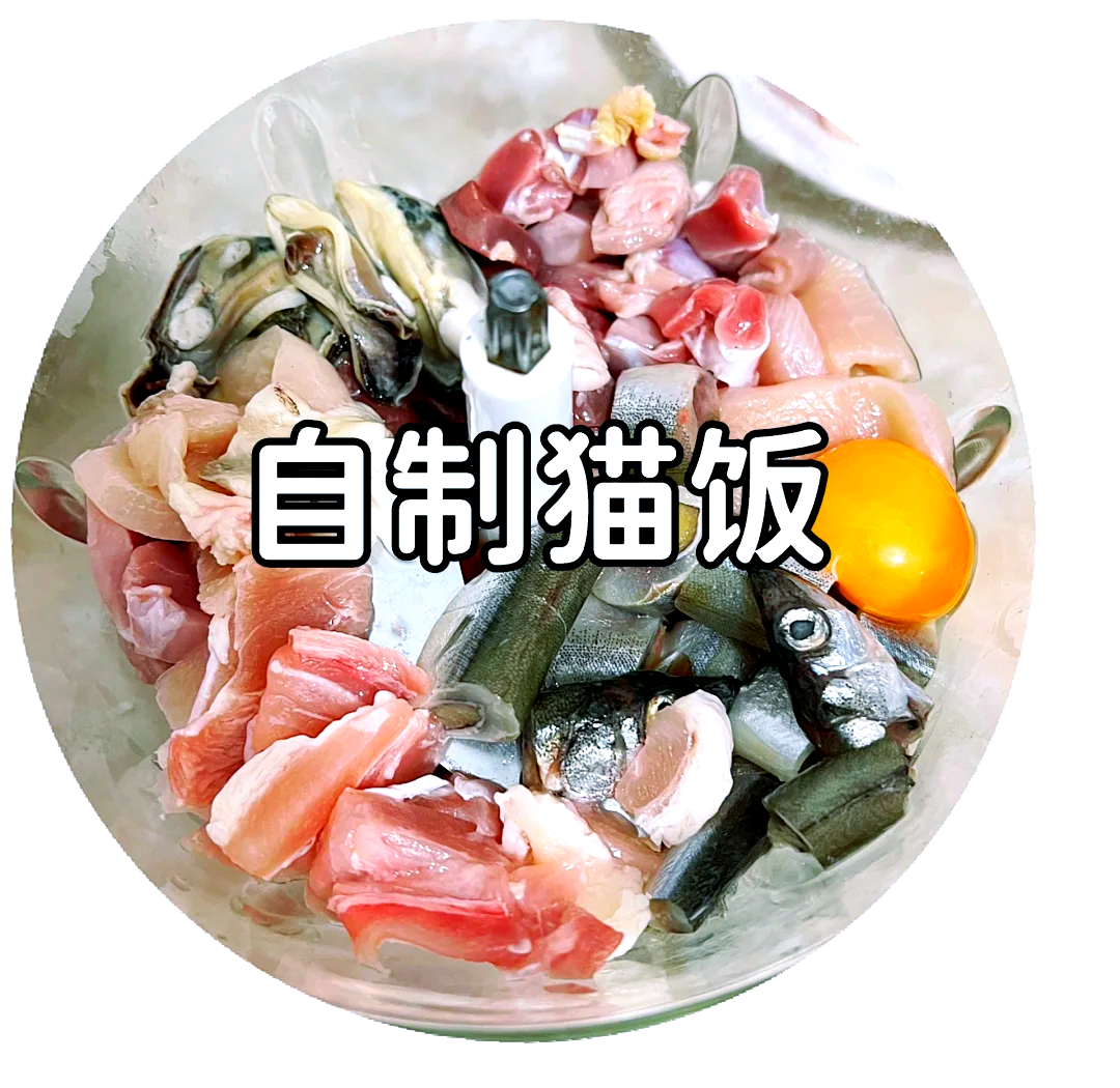 猫饭食谱大全(猫饭食谱大全科学猫饭)
