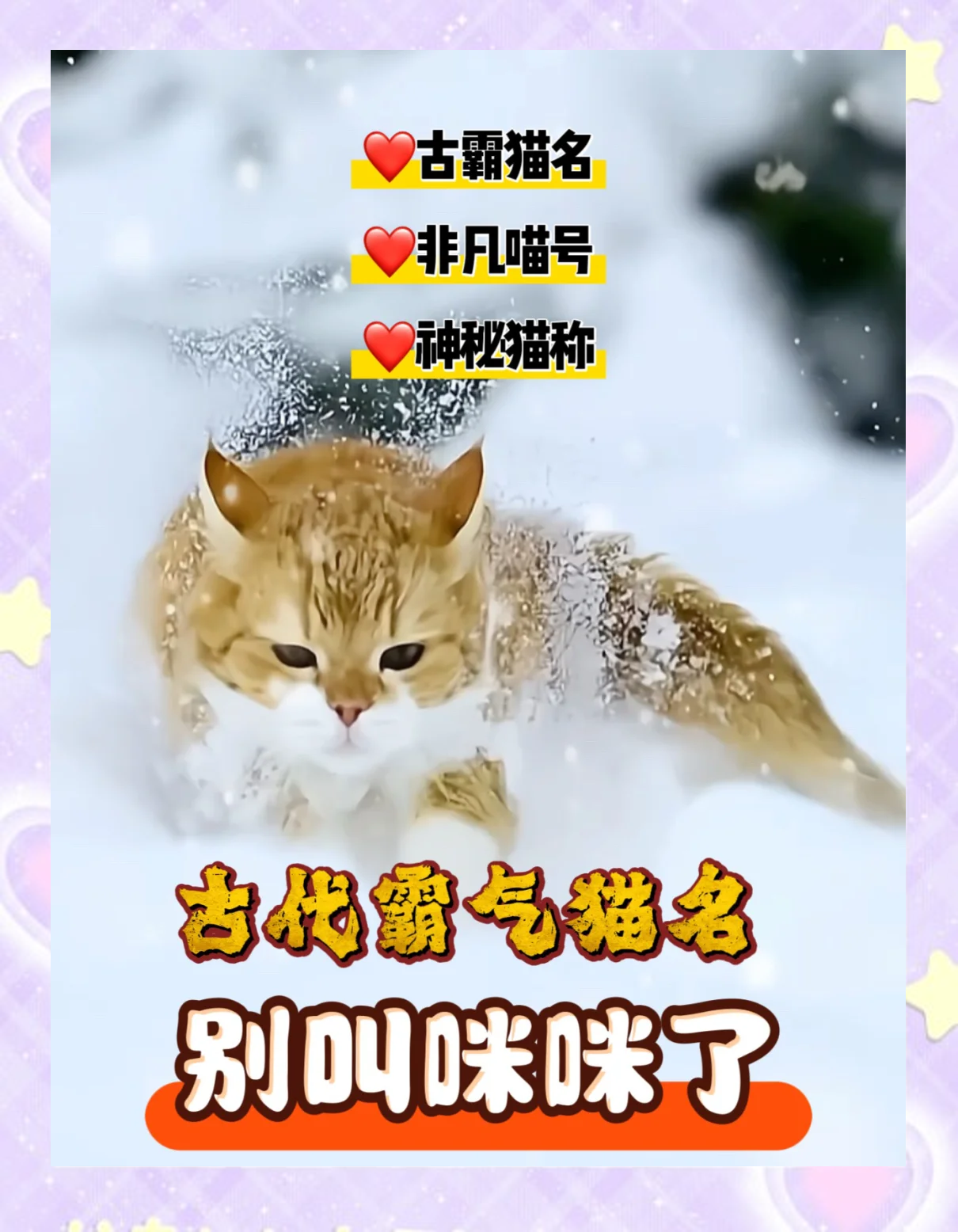 猫的网名(猫的网名不带猫字)