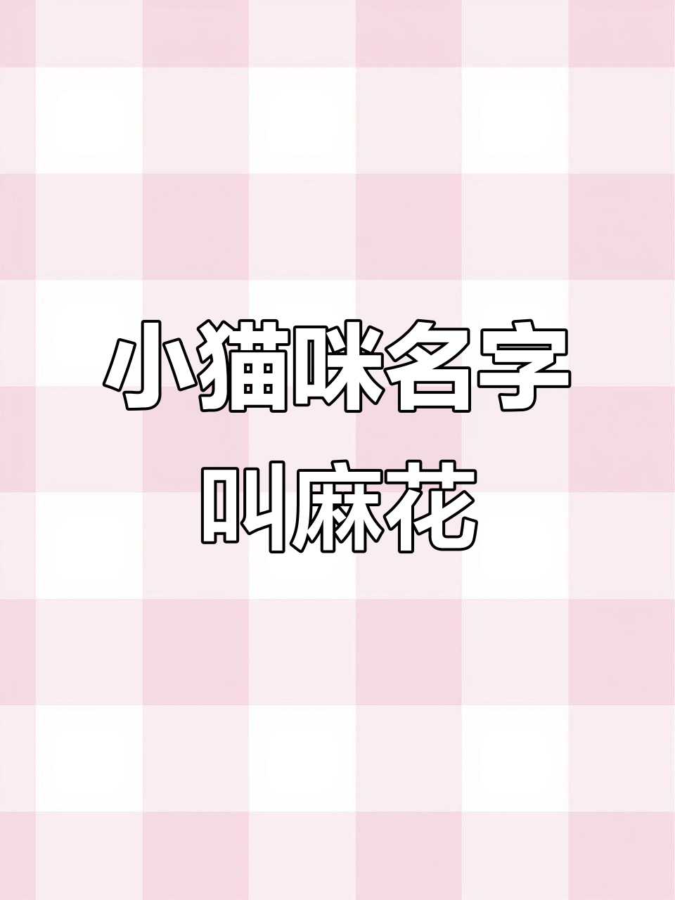 小猫名字(小猫名字 可爱 宠物 吉利)