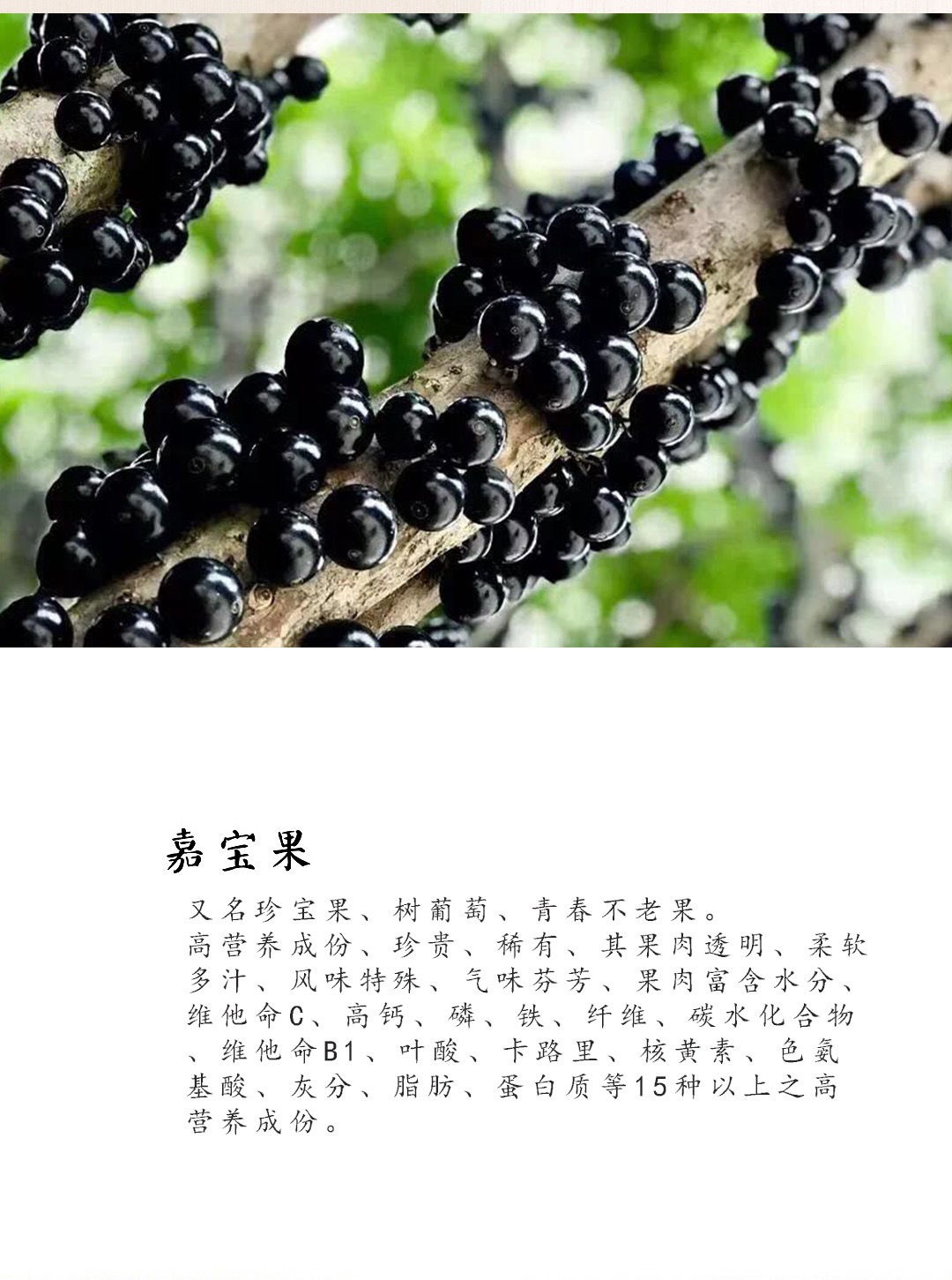 多宝果(多宝果园) 多宝果(多宝果园)