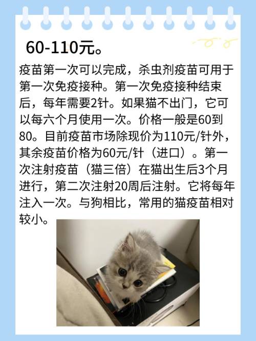猫咪多大打疫苗(猫咪多大的时候打疫苗比较合适) 猫咪多大打疫苗(猫咪多大的时候打疫苗比较合适)