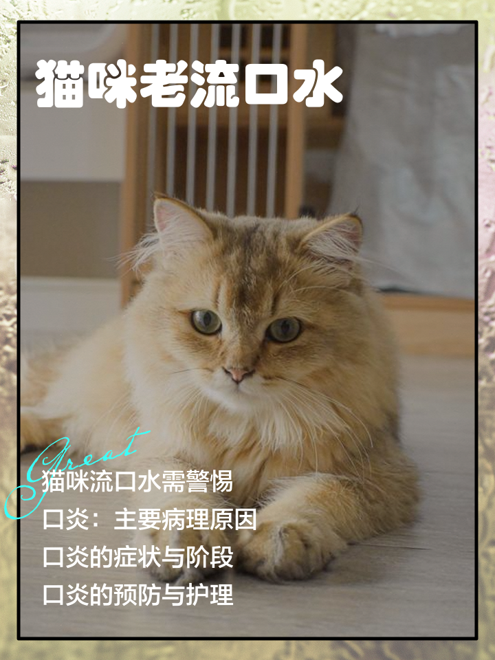 猫咪流口水粘稠透明能自愈吗(猫咪流口水粘稠透明能自愈吗图片) 猫咪流口水粘稠透明能自愈吗(猫咪流口水粘稠透明能自愈吗图片)